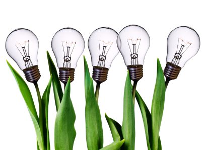 All great ideas start life as ridiculous ideas