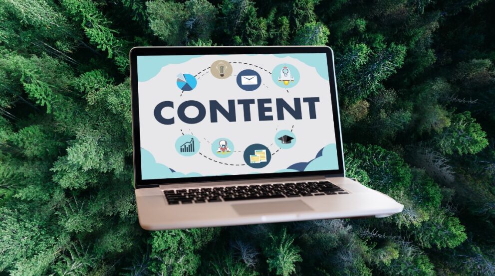 Unlocking Long-Term Value: The Power of Evergreen Content