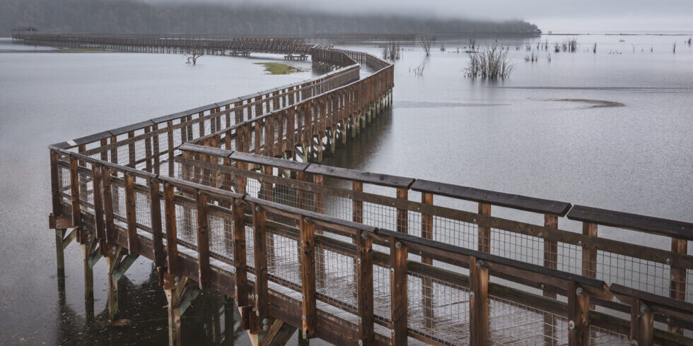 Is AI Quietly Widening Your GTM Execution Gap?